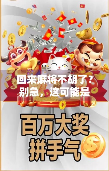 回来麻将不胡了？别急，这可能是你人生节奏的信号灯！