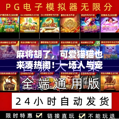 麻将胡了,可爱猫猫也来凑热闹!一场人与宠物的欢乐对局