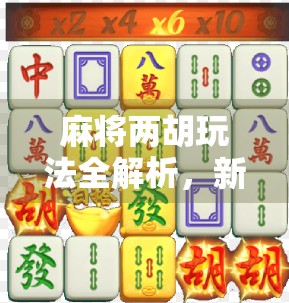 麻将两胡玩法全解析，新手必看！教你如何快速上手双胡技巧