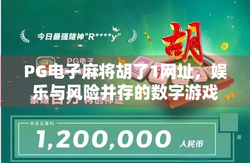 PG电子麻将胡了1网址，娱乐与风险并存的数字游戏新风口？